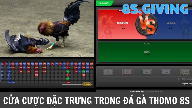 Cá cược Đá gà Thomo 8S