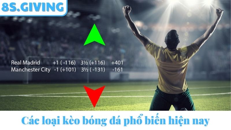 Các loại kèo Cá cược bóng đá 8S